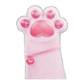 kako Valentine gift