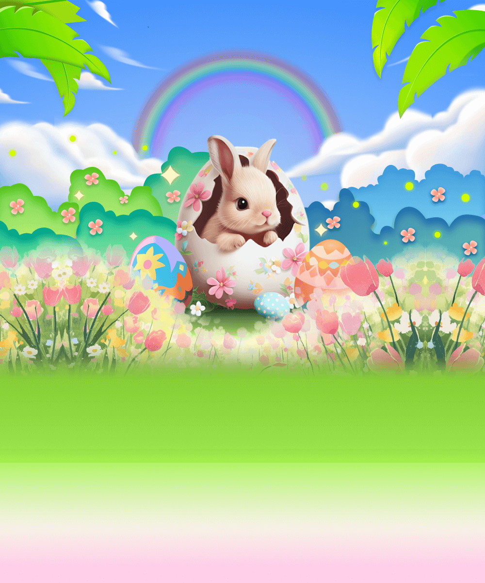 kako live activity banner
